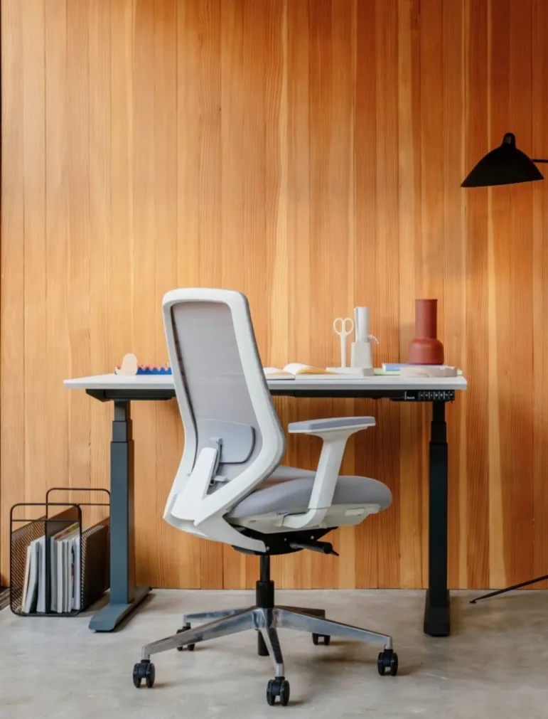 Ergonomic Desk And Chair